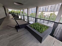 Neem Tree (D12), Apartment #587869151